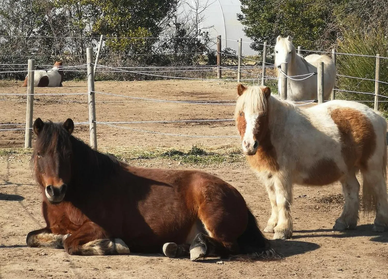 Gite Equestre En Provence Aux Pieds Des Alpilles Maillane Holiday home