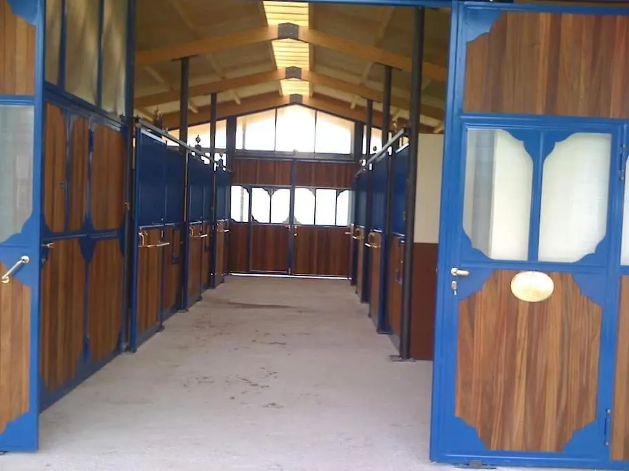 Gite Equestre En Provence Aux Pieds Des Alpilles Maillane