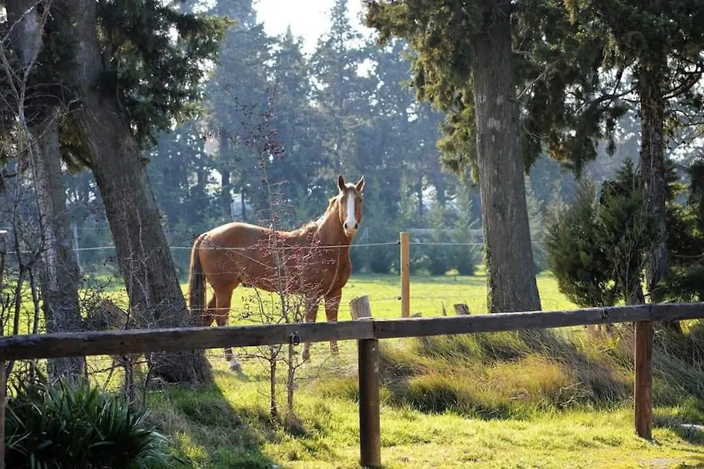 Gite Equestre En Provence Aux Pieds Des Alpilles Maillane Holiday home