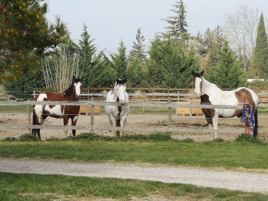 Gite Equestre En Provence Aux Pieds Des Alpilles Maillane